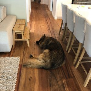 Ironwood Australia Recycled timber spotted gum flooring