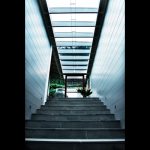 Mosman residence timber stair treads