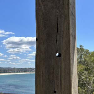 European Oak - Posts